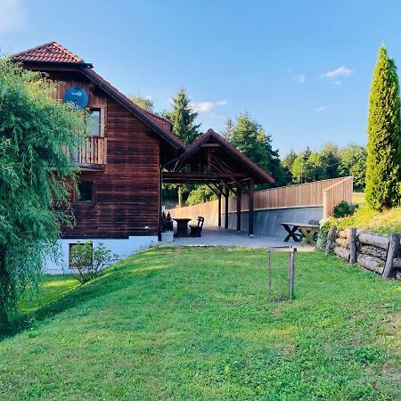 Family House Villa Mozirje Exterior foto