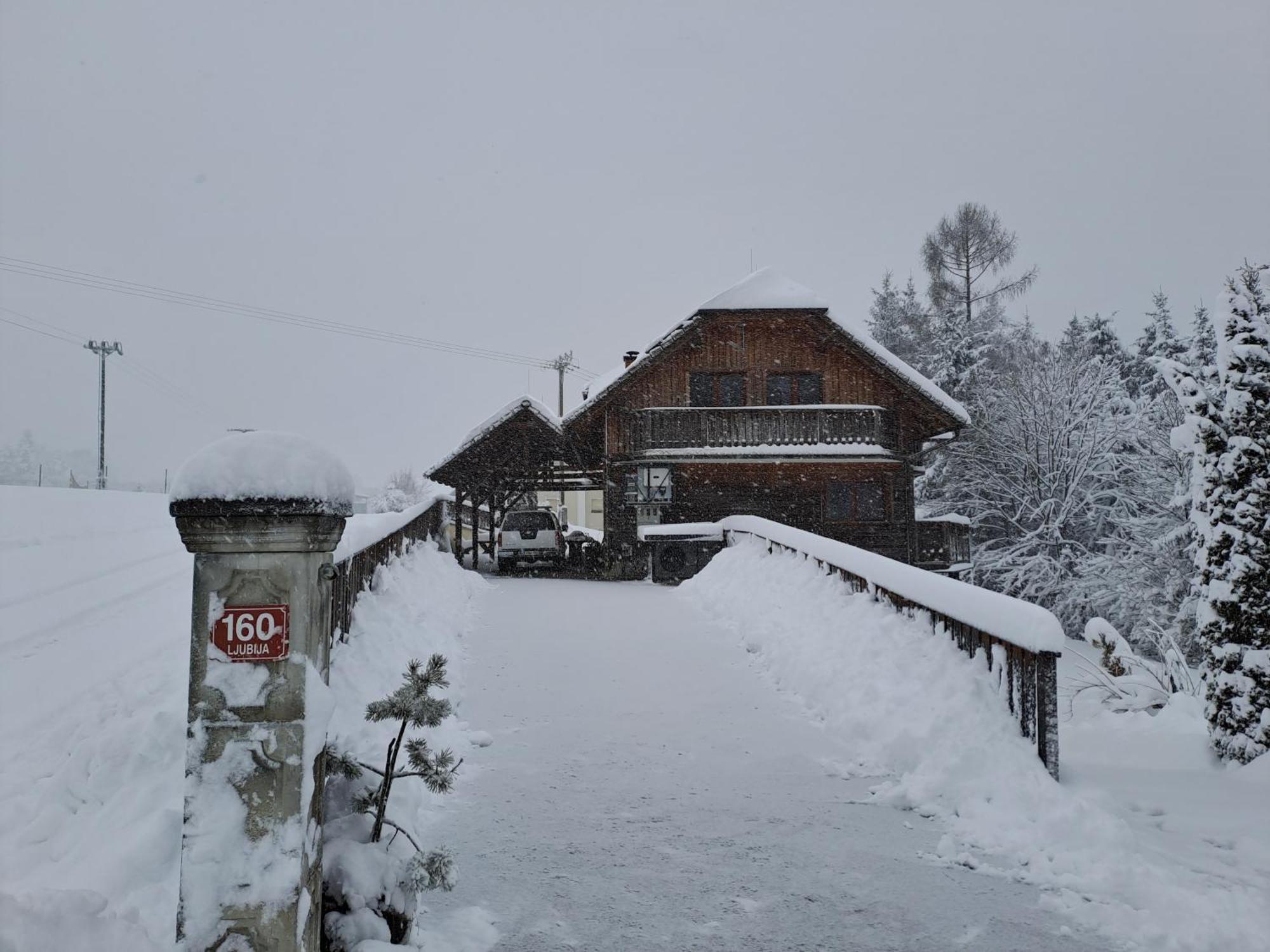 Family House Villa Mozirje Exterior foto